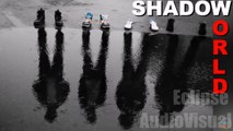 Amazing Optical Illusions Compilation - Photos Taken at the Right Time-1xmWh2OFUew