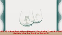 Set of 2 Stemless Wine Glasses 20oz Palm Trees Etched Design Nice for Deck or Patio 4a079f6f
