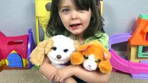 FurReal Friends Peek-A-Boo Daisy Kitten & My Bouncin Pup Puppy Toys with Emily!