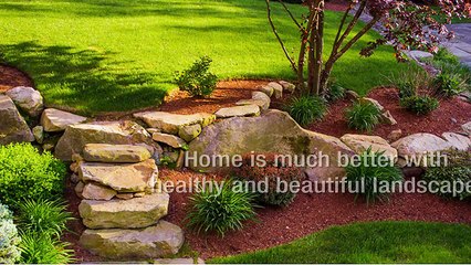 Lawn Care Service Provider Draper, UT