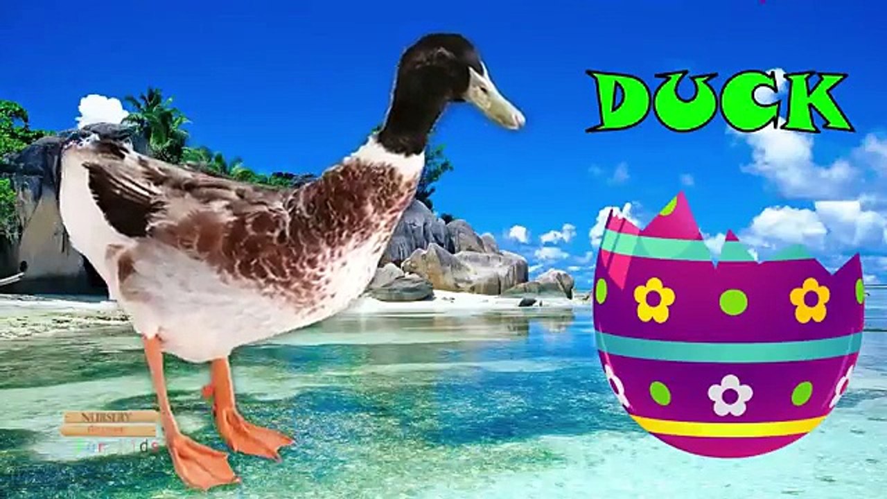 Easter Eggs Domestic Animals Learning Nursery Rhymes | Superheroes Dinosaurs Finger Family