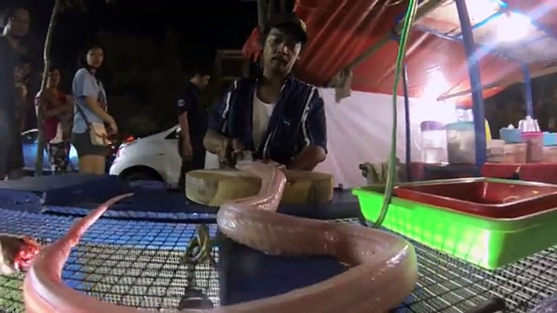 ⁣danger snake