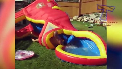 We all miss summer - Fun summertime moments-r_1R4UrAbTk