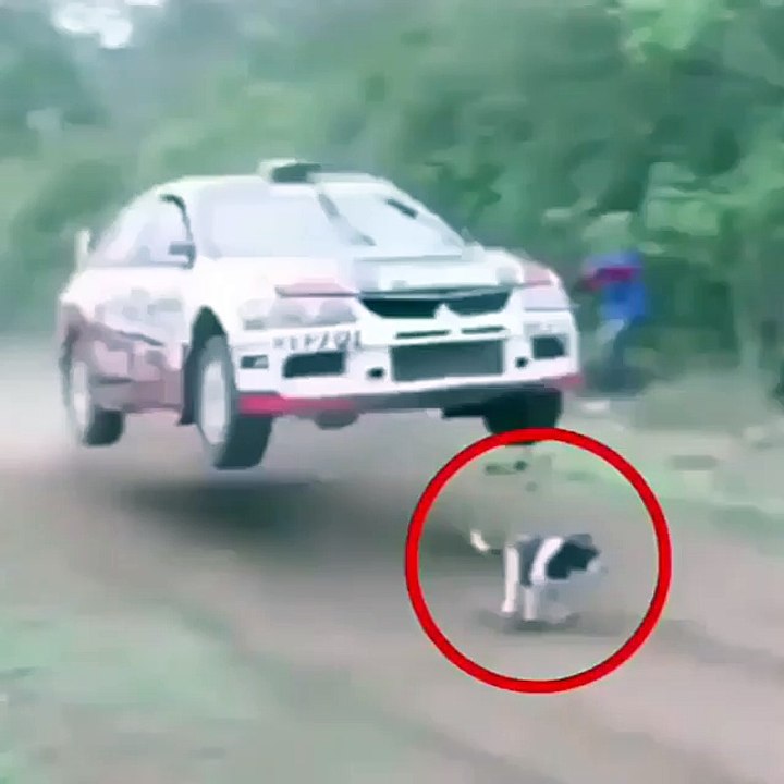 wawww