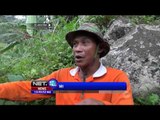 Berburu Madu Liar, Kegiatan Seru Warga Desa Wonosari, Jawa Tengah - NET12