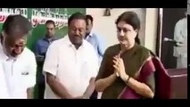 ops vs sasikala