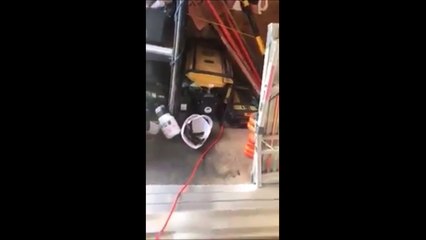 Quand t'as pas de micro-onde au boulot...