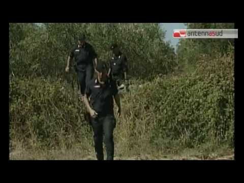 TGSRVfeb08 autopsia cadavere in fusto