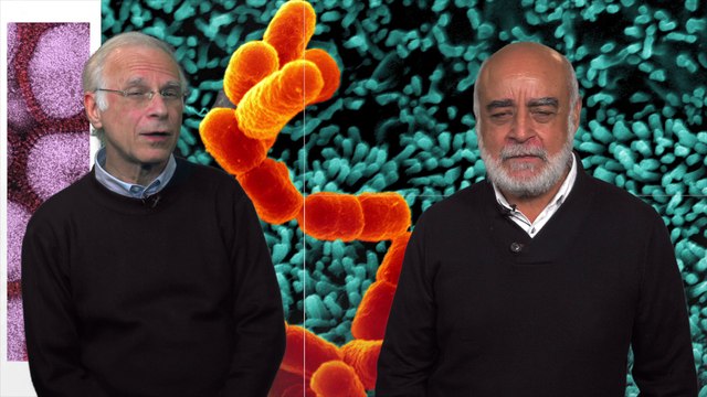 FUN-MOOC : Innate Immunity