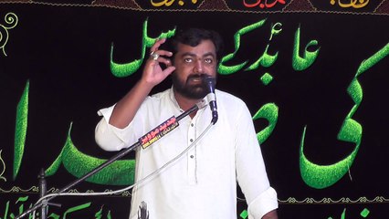 Zakir Syed Muhammad Hussain Sha Jaswal 20 Muharram 1438 ( 2016 ) Choti Behak Hafizabad