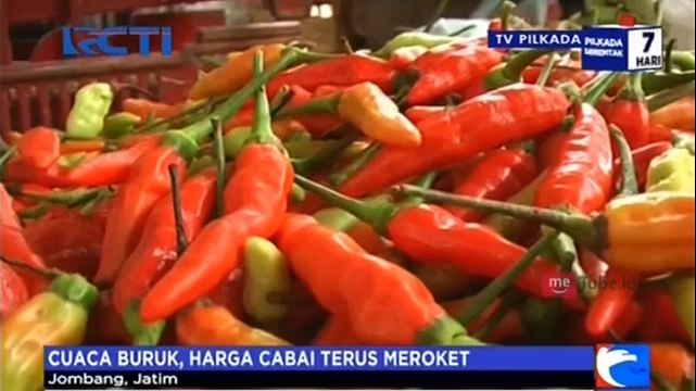 Cuaca Buruk, Harga Cabai Terus Meroket