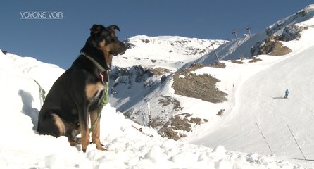 VOYONS VOIR - 9 FEVRIER 2017