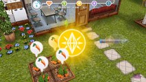 The Sims Freeplay: Money Grows on Trees?