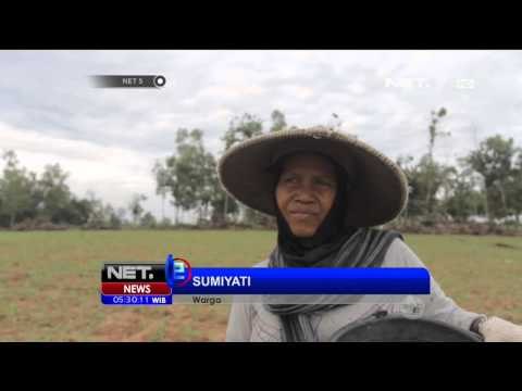 Petugas Gelar Patroli Redam Konflik Gajah dan Manusia di Way Kambas NET5