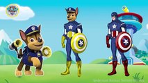 Paw Patrol Transforms Into Captain America - Paw Patrol Finger Family Nursery Rhymes Song