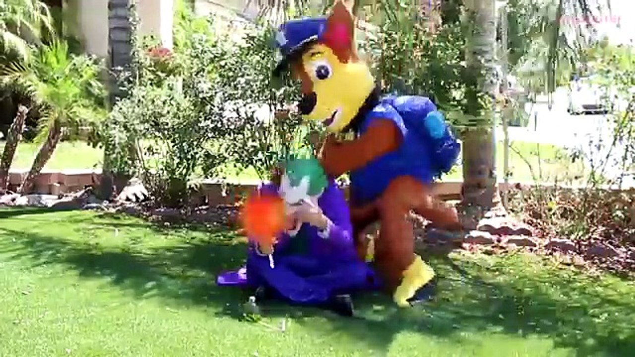 Spiderman BECOMES a Little BABY! w/ Princess Rapunzel Minnie & PAW Patrol Zuma Real Life
