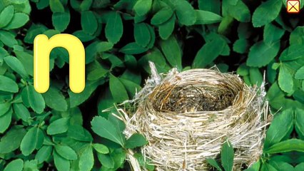 ☀ Starfall ABCs ☀ FULL GAME PLAY ☀ Learning English Words for kids ☀