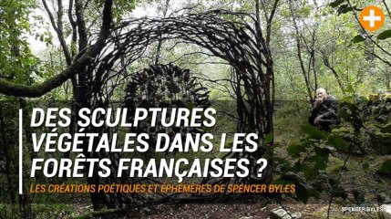 Download Video: Les sculptures végétales poétiques et éphémères de Spencer Byles