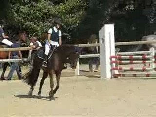 Kiss Me Concours cso