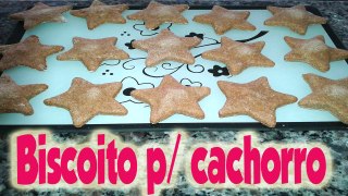 DIY BISCOITO P/ CACHORROS - Cookies for Dogs