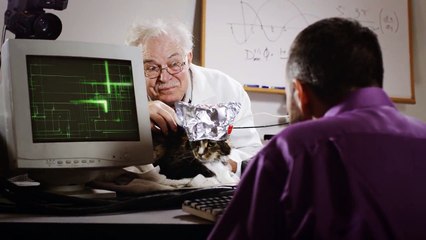 How Smart is This Cat