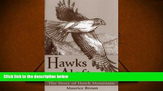 Read Online  Hawks Aloft: The Story of Hawk Mountain Maurice Broun Full Book