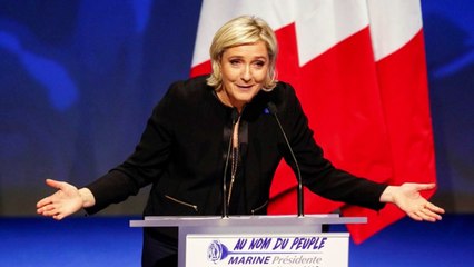 Législatives 2017 : Francis Lalanne se lance !