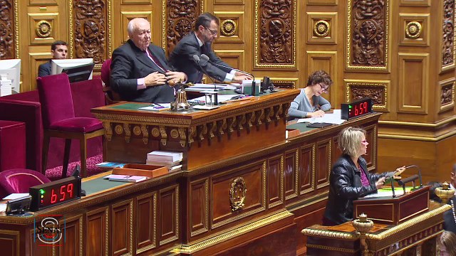 Sénat : PPL Communes associées / Communes nouvelles
