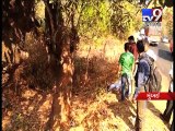 7 killed, 1 hurt as speeding car rams into tree on Mumbai-Goa Highway - Tv9