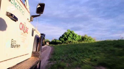 Botswana’s green safaris | Eco-at-Africa