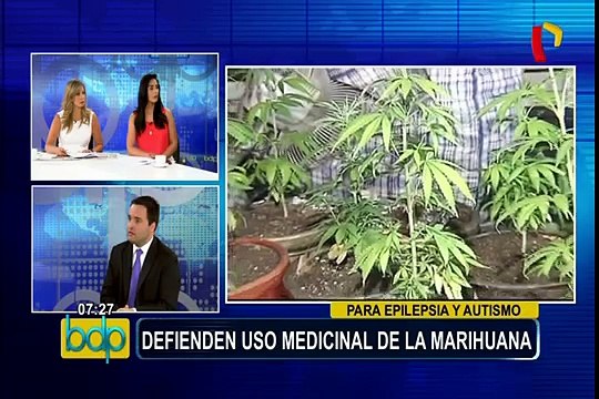 De Belaunde sobre uso medicinal de marihuana: “En menos de un mes se puede aprobar ley si hay voluntad política”