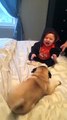 Bebé tem ataque de riso enquanto os seus cães brincam 