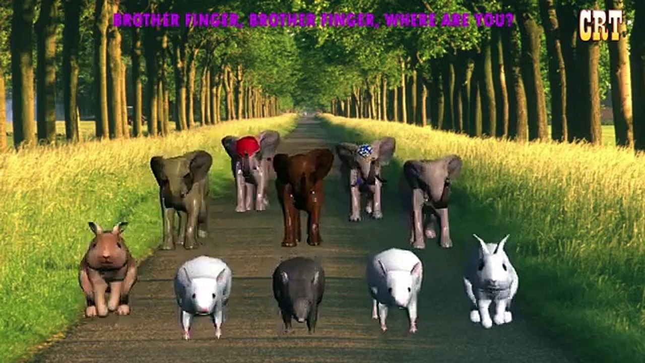 3D Finger Family Rhymes Elephant Finger Family Nursery Rhymes