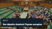Brexit : des députés pro-européen chantent l'hymne à la joie Chambre des communes du Royaume-Uni