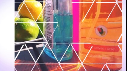 Professional Organiser for Businesses London