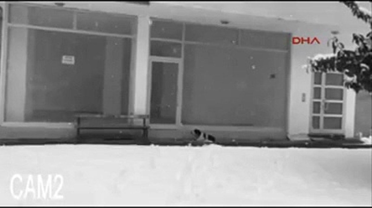 La cámara pilla a un hombre quitándose la chaqueta para ponérsela al perro