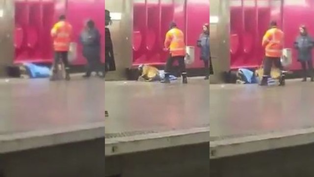 La RATP réveille un SDF dans une station de RER avec un chien