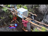 Dua Orang Utan Dilepas Liarkan di Taman Nasional Gunung Palong - NET12