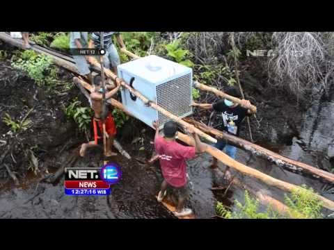 Dua Orang Utan Dilepas Liarkan di Taman Nasional Gunung Palong - NET12