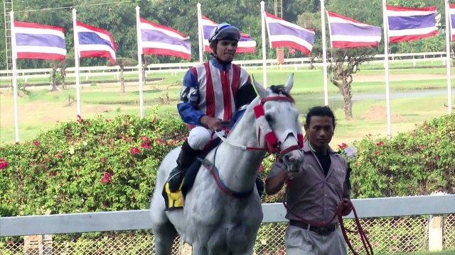 En Thaïlande, des courses hippiques uniques au monde