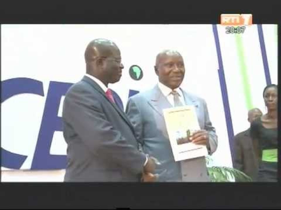 Economie: Le CEPICI va disposer d'un plan stratégique de promotion des investissements