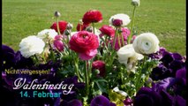 Am 14.Februar ist Valentinstag