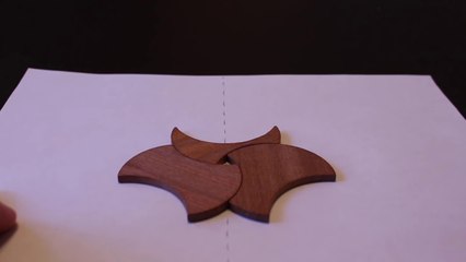 Puzzle impossible : les "biscuits" croqués !