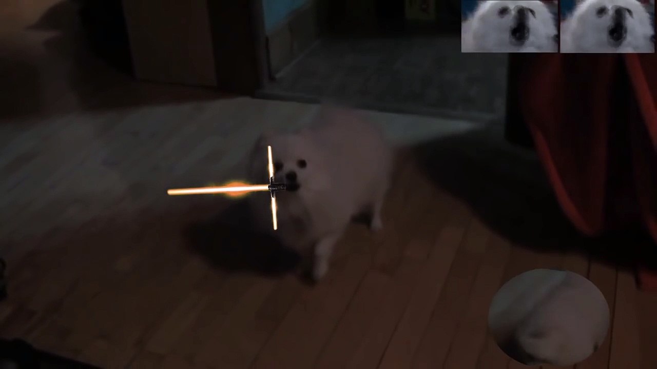 Marche Imperiale Star Wars chantée par un chien ! Gabe le chien