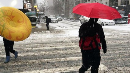 Etats-Unis: tempête de neige sur le nord-est, les écoles fermées
