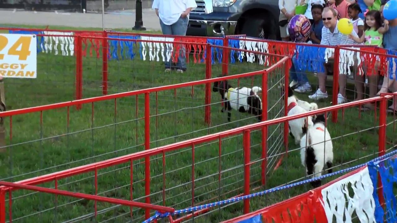 Pig Racing! Goat Racing! Duck Racing! Oh My!