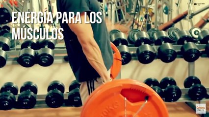 Motivos para empezar a tomar agua de coco