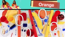 Orange is the Color of the Day Childrens Song | Orange Colors | Counting | Patty Shukla
