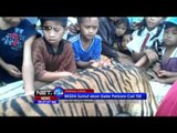 Harimau di Kebun Binatang Surabaya Mati Setelah Dirawat Intesif - NET24