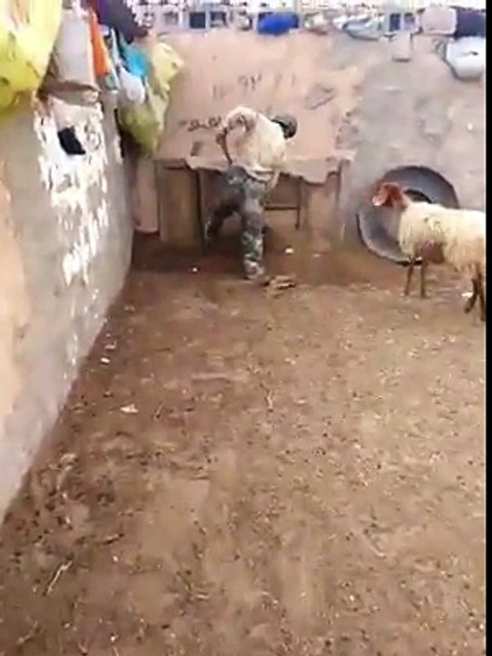 تبارك الله تبارك الله 